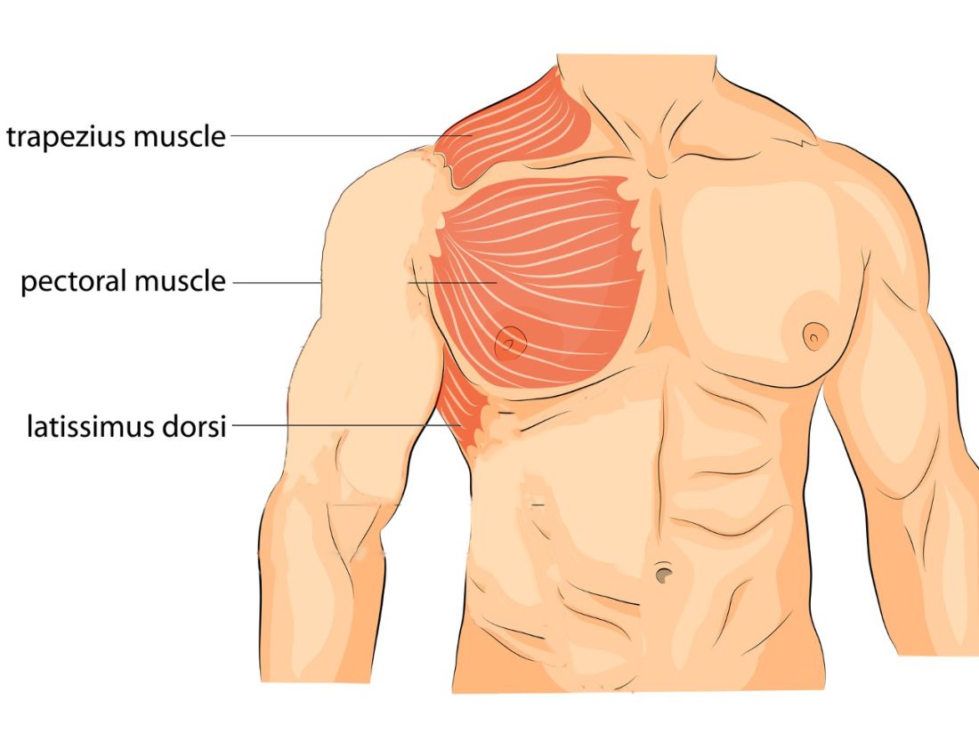 scapula depressors anterior view